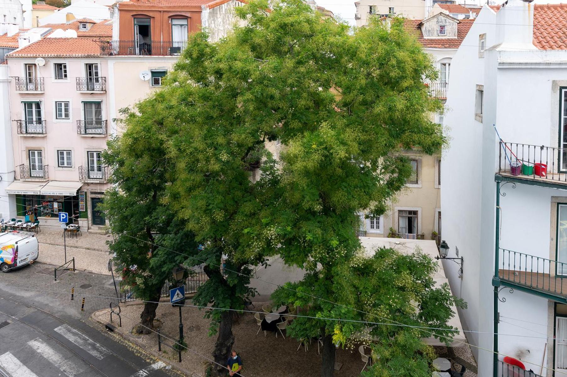Portas Do Ceu Apartment Lisbon Ruang foto